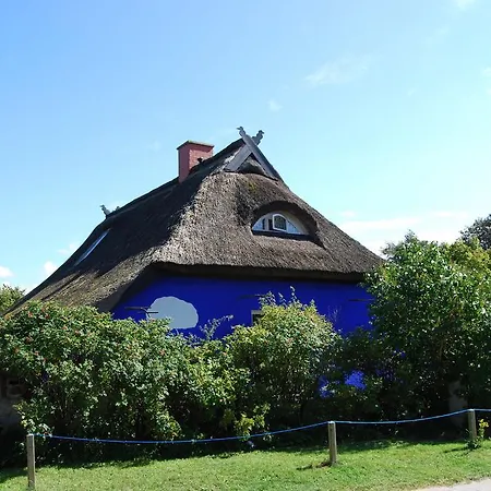 Apartment Ferienwohnung Hiddensee Godewind Plogshagen
