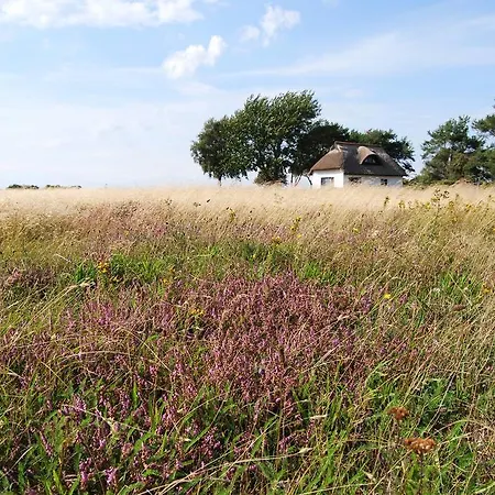 Apartment Ferienwohnung Hiddensee Godewind Plogshagen